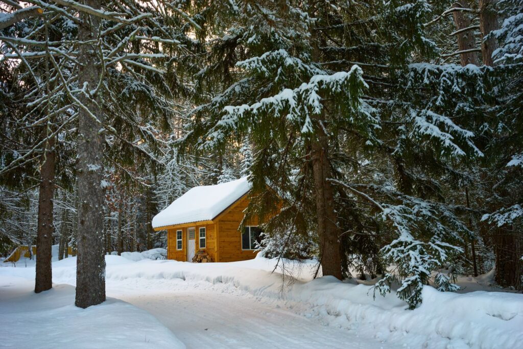 Wooden alpine chalet covered in snow among pine trees