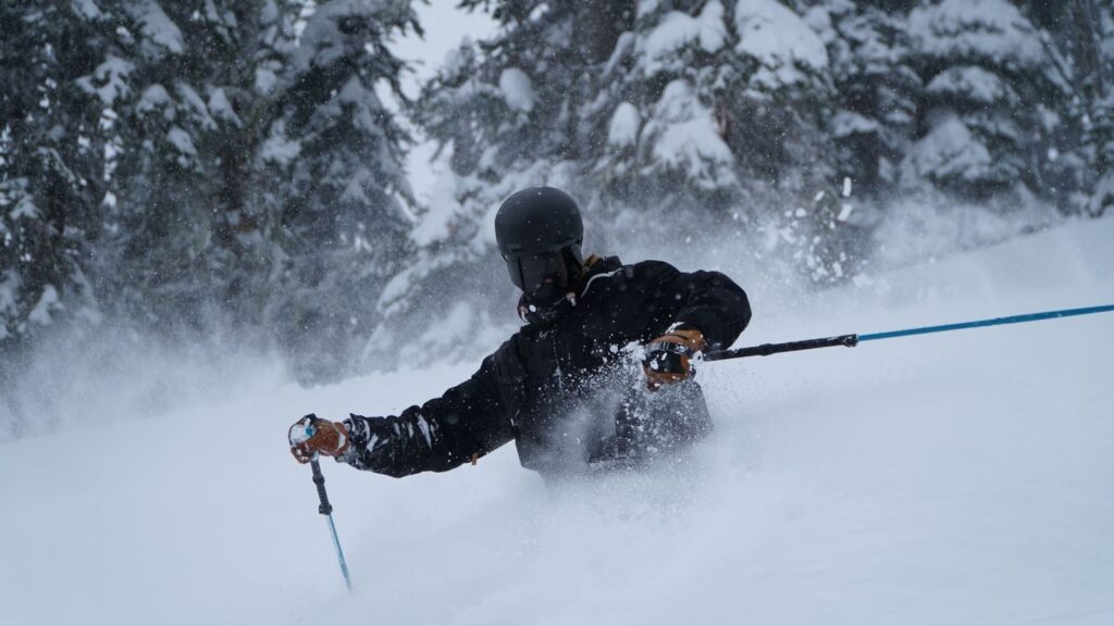 Skier sending up a spray of deep powder snow among snowy trees